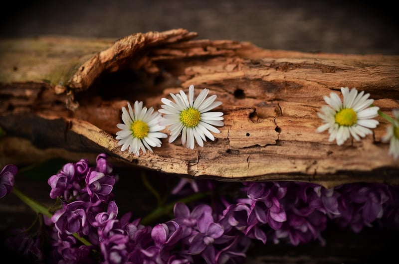 Handcrafted Wood Products